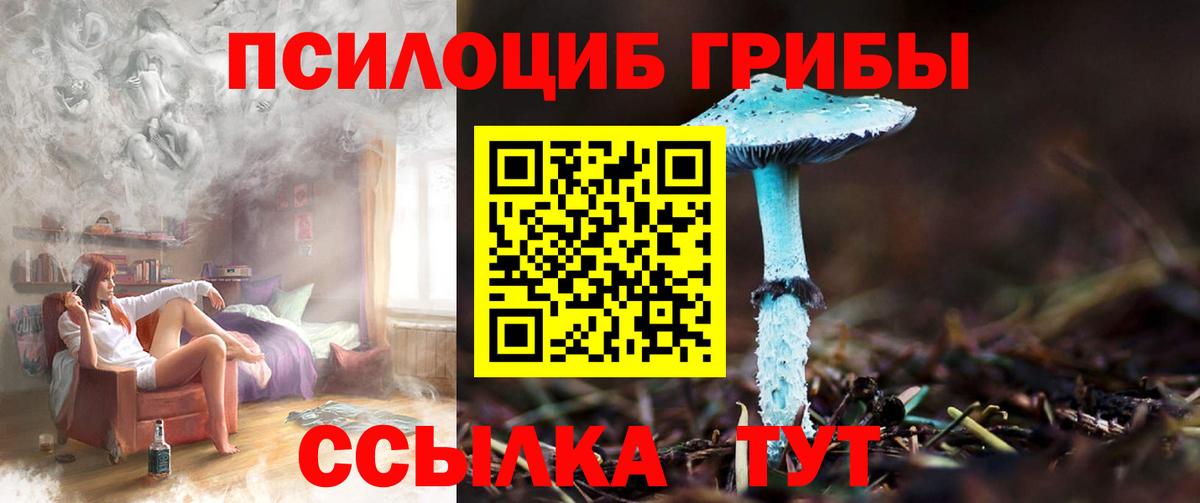 Галлюциногенные грибы MAGIC MUSHROOMS Гагарин